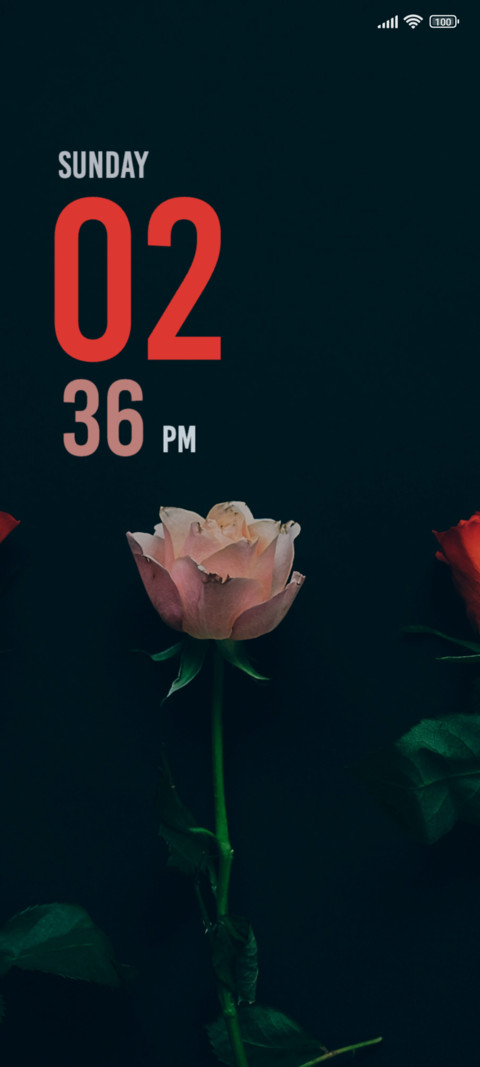 Pink Red Roses screenshot
