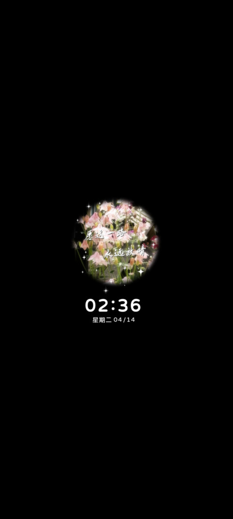 春风有信花开有期 screenshot