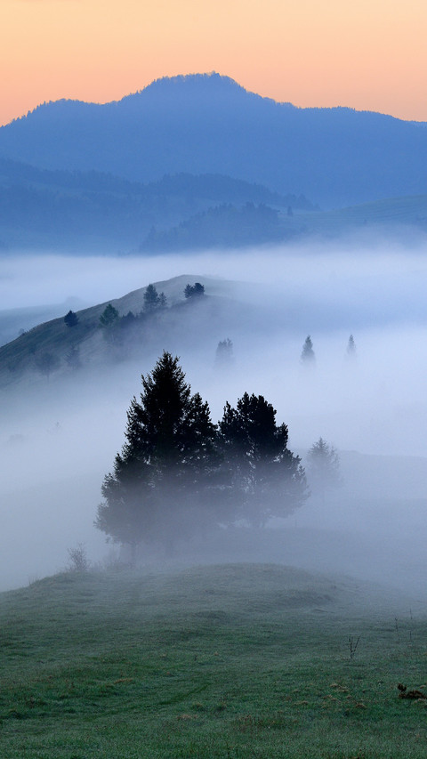 There Was A Heavy Fog in The Mountains screenshot