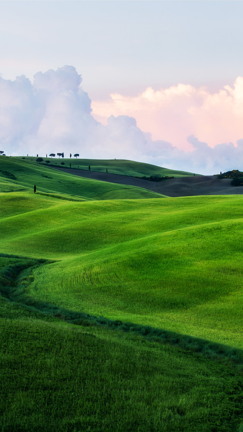 Amidst the greenery of tuscany screenshot