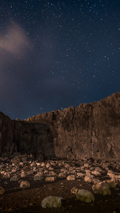 The quiet night is silent, the moon like a hook. screenshot