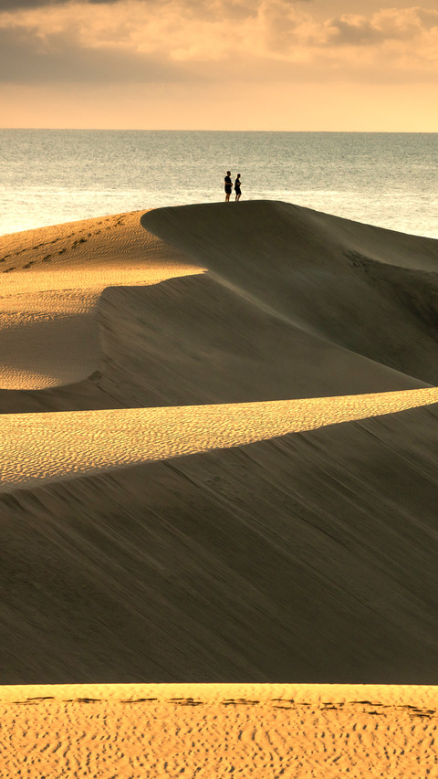 Maspalomas dunes in sunrise light screenshot