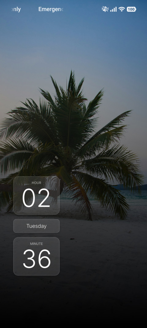 Twilight Palm screenshot