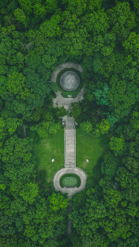 Zhongshan pines and cypresses reflect the tombstone screenshot