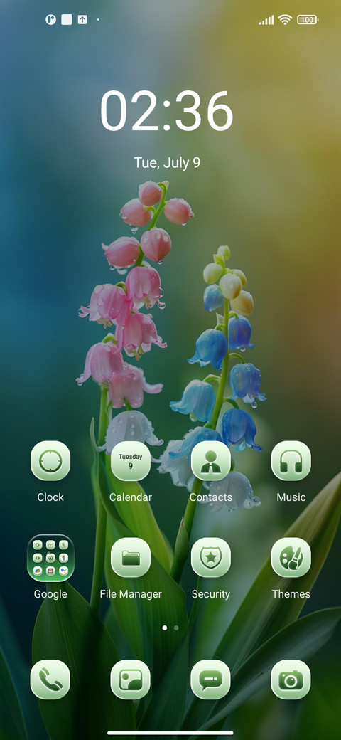 lily of the valley screenshot