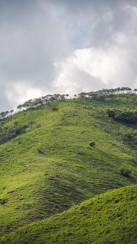 A pastoral song in the mountains and fields screenshot
