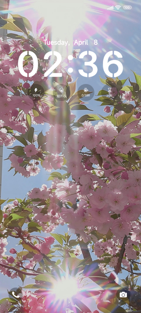 春天消息寄来啦 screenshot