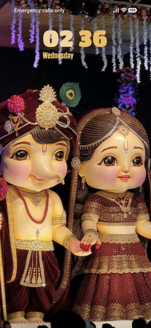 Cultural Festival screenshot