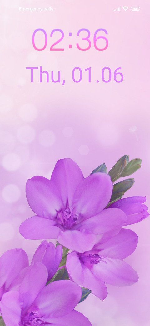 pastel blossom screenshot