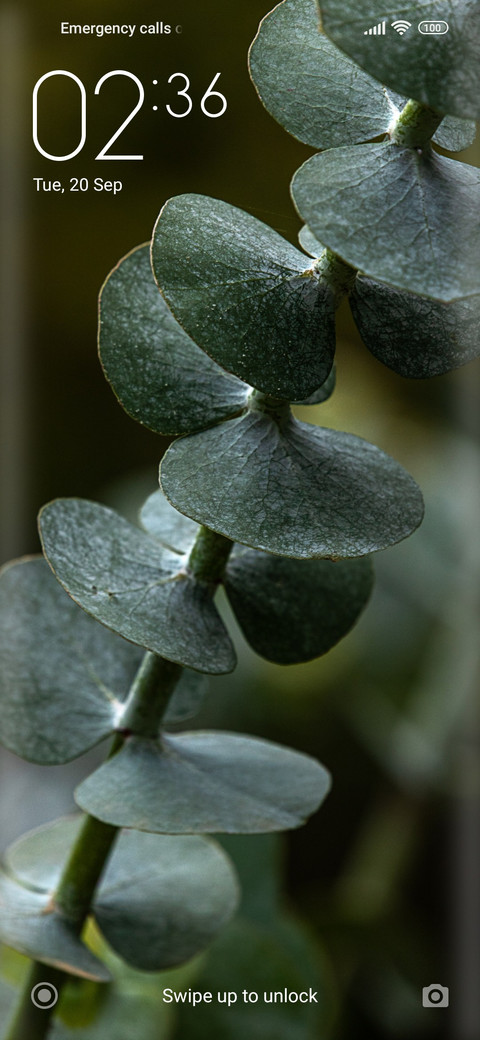 Classic_wall screenshot