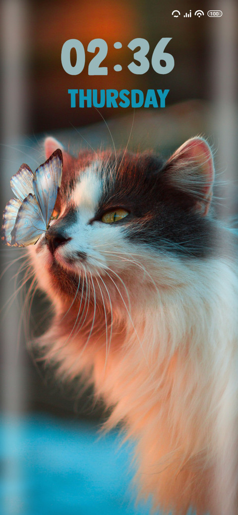 Cat screenshot