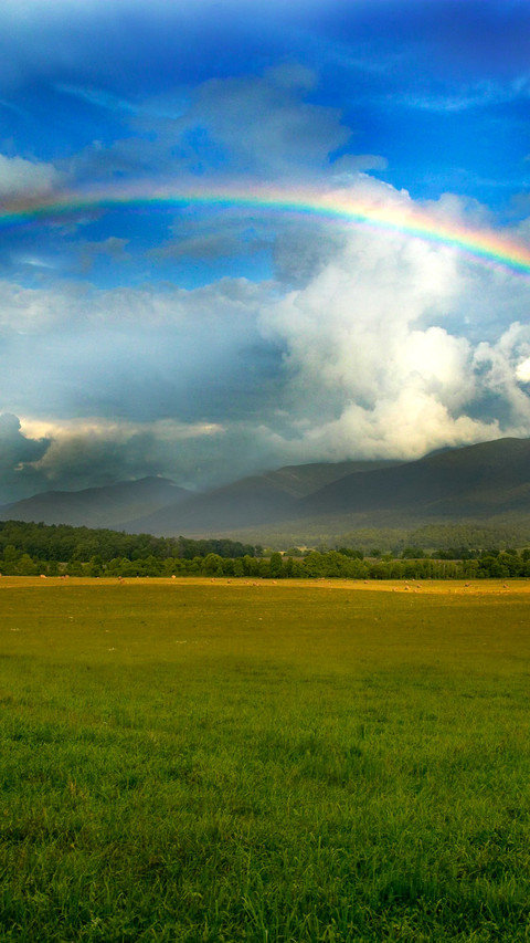Rainbow Valley screenshot