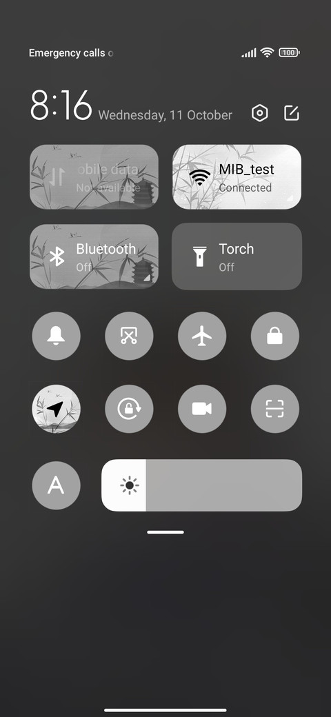 Chinese Youth screenshot