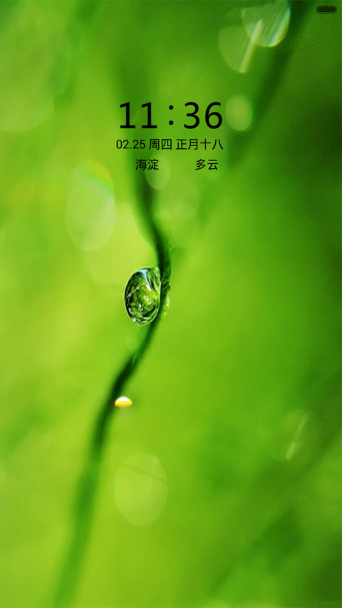 养眼绿色 screenshot