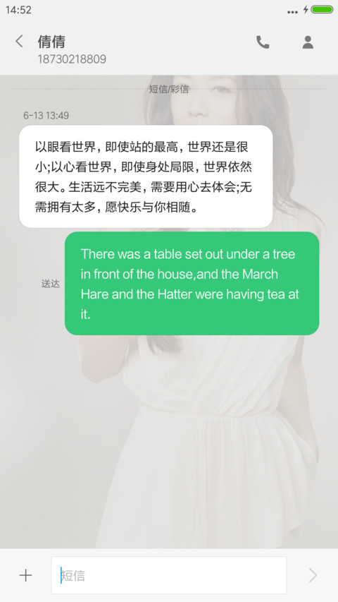 森林公园 汤唯V8（随机壁纸） screenshot