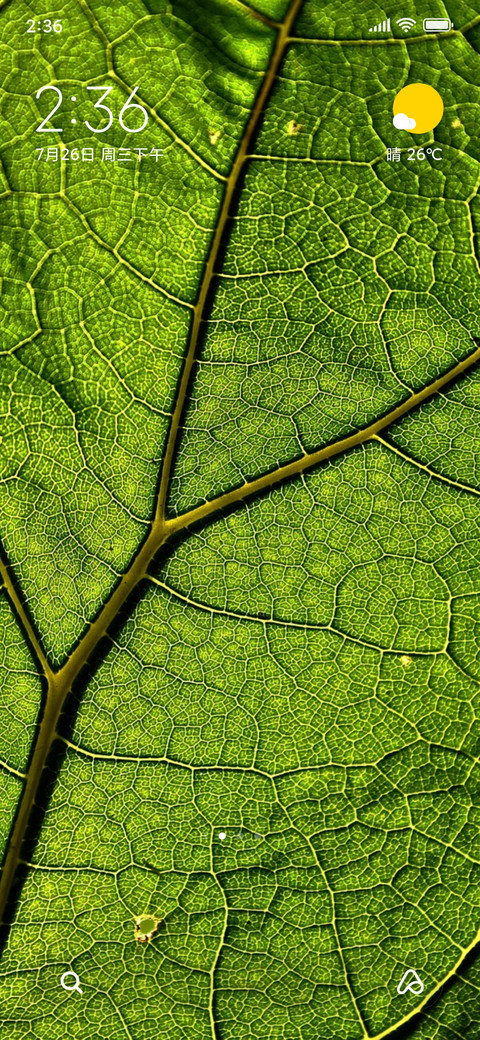 nature greeny screenshot