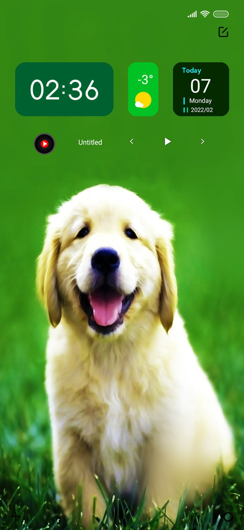 Puppy To screenshot