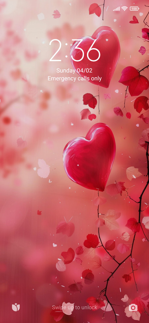 Lover's heart screenshot