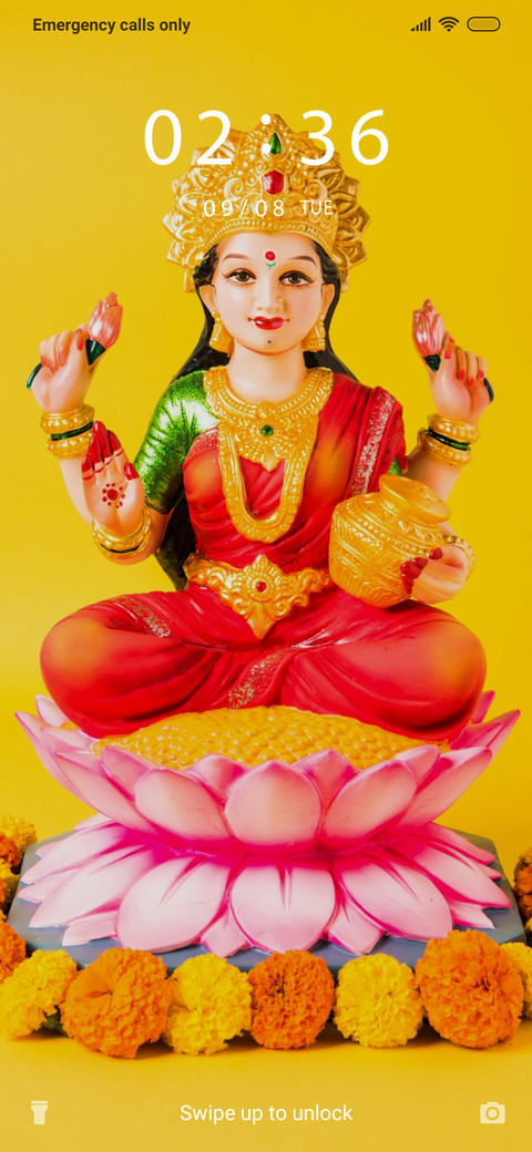 Lakshmi_3MDS screenshot