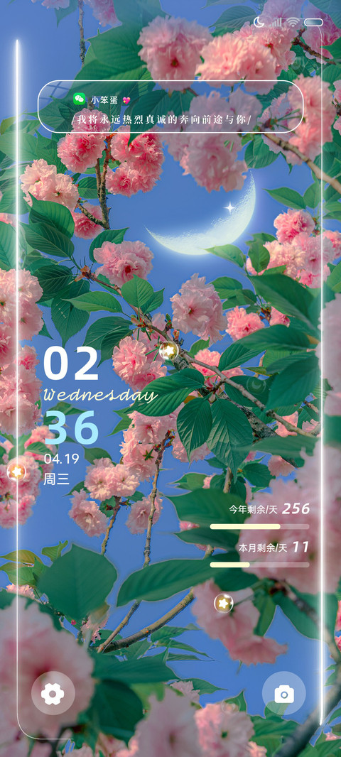 花与月 浪漫多模式 screenshot