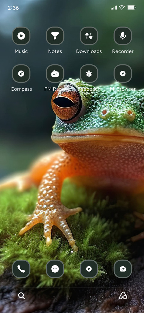 Frog screenshot