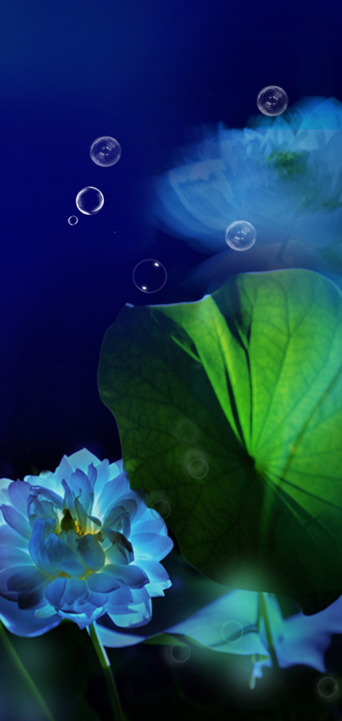 蓝莲花 screenshot