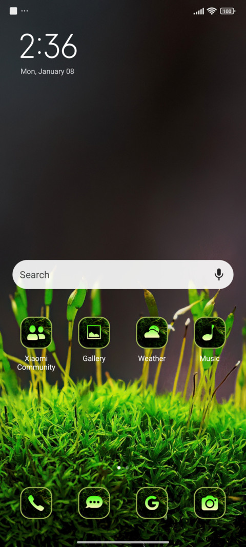 leaves moss screenshot