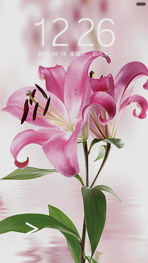 百合花开 screenshot