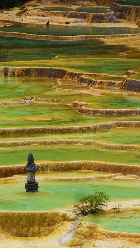 A secret tour of the colorful forest in jiuzhai screenshot