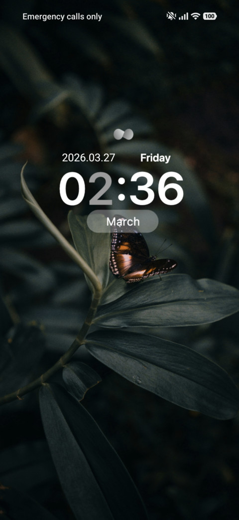 Midnight Flutter screenshot
