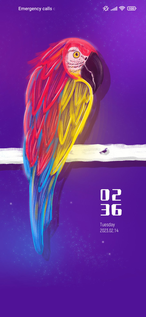 Colorful macaw screenshot