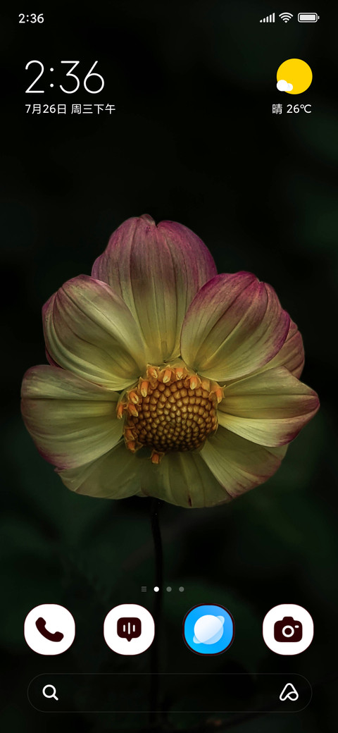 Sunset Petals screenshot