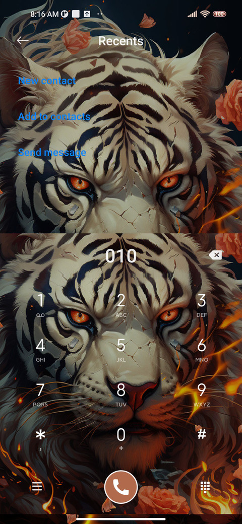 Tiger in the Fire screenshot
