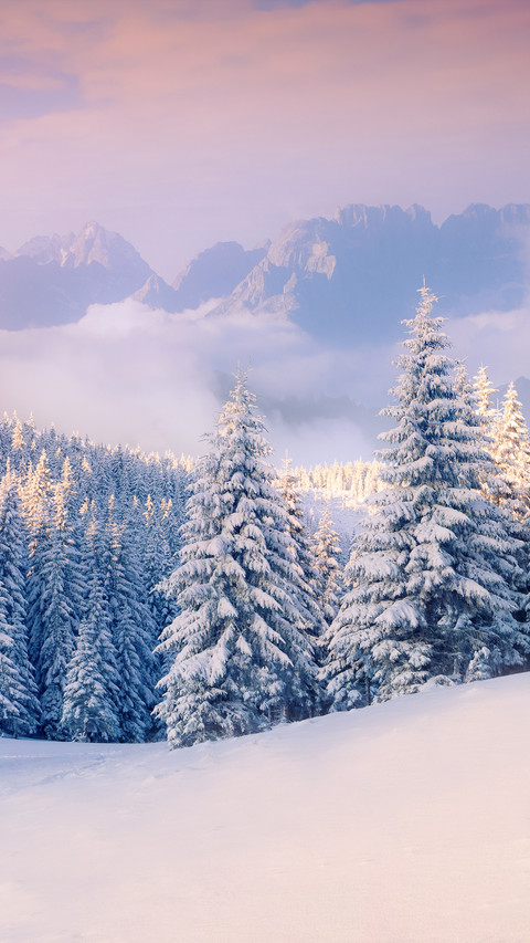 Colorful winter morning in the foggy mountains screenshot