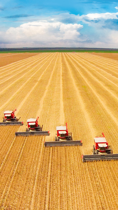 Harvest working in soybean harvest in the state of Mato Gros screenshot