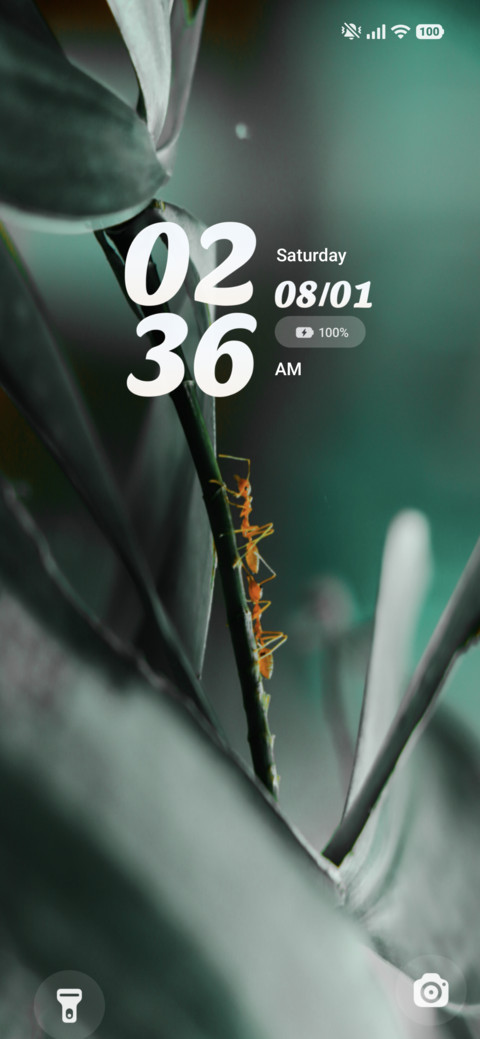 AS Zoro screenshot