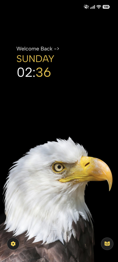 Eagle Watch screenshot
