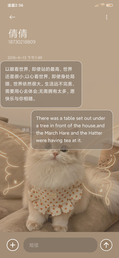 奶油换图小猫蝶 screenshot