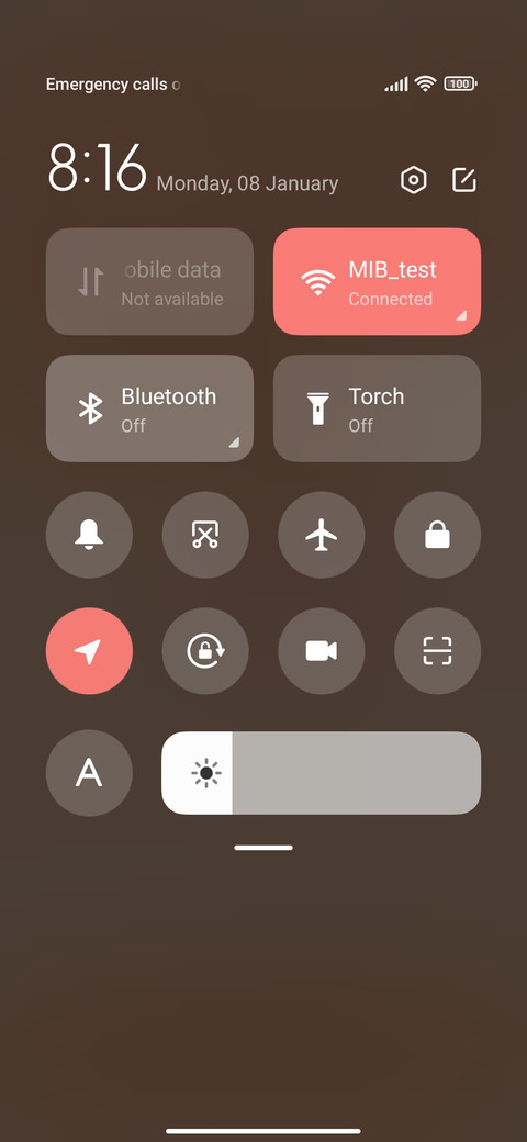 New Year couplets screenshot