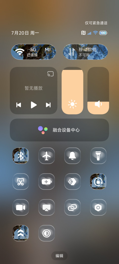 景深 梧桐落夏 screenshot