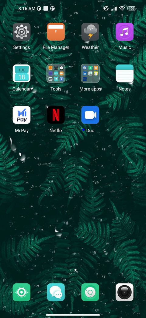 Green Max screenshot
