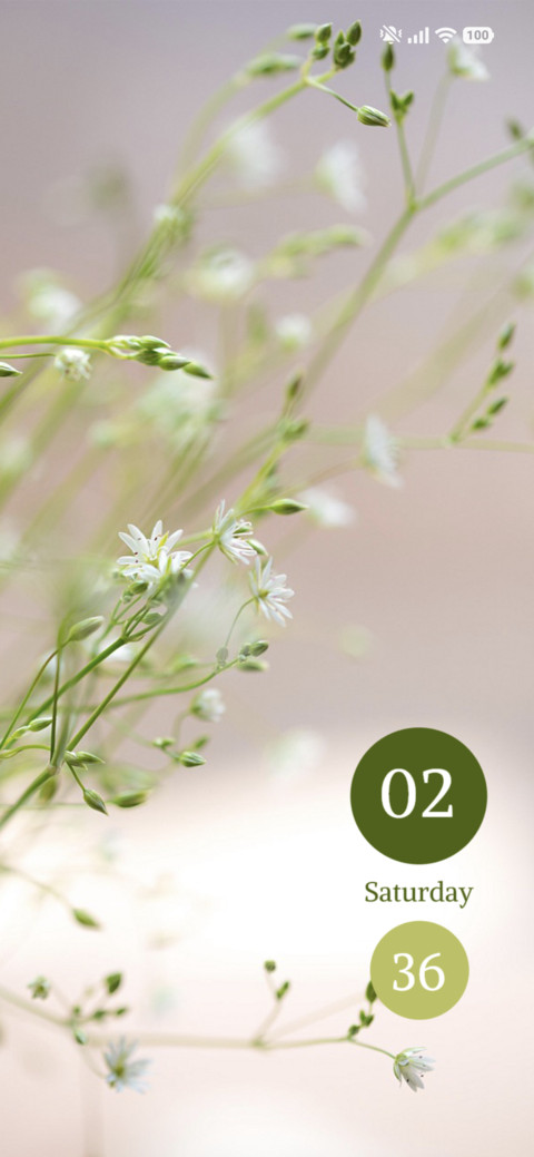 Spring Vine screenshot