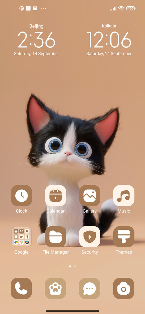 Devon cat screenshot