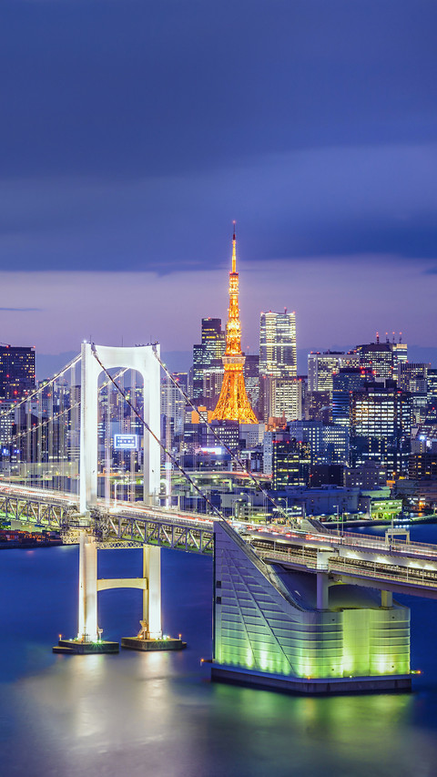 Rainbow Bridge and Tokyo Bay screenshot