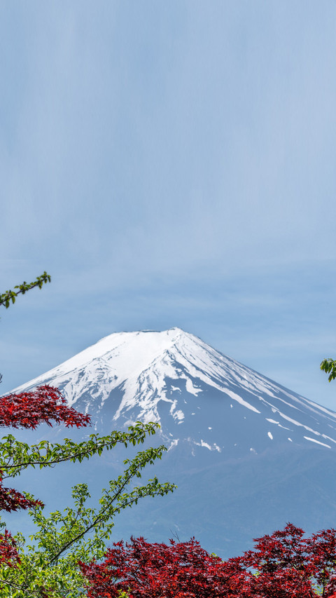 Mount Fuji (5) screenshot