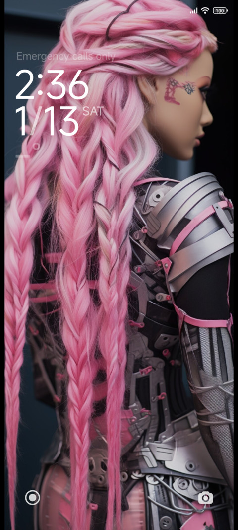 EU_IZPinkV8 screenshot