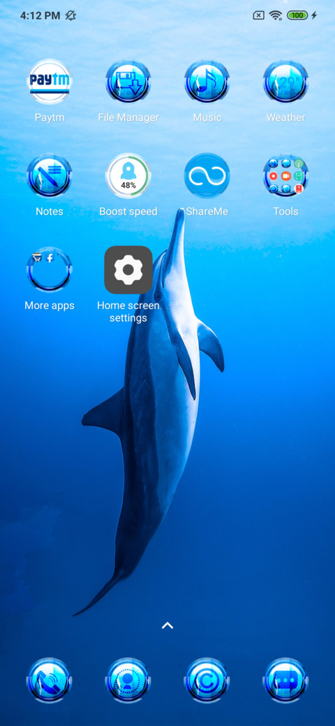 Dolphin Toro screenshot