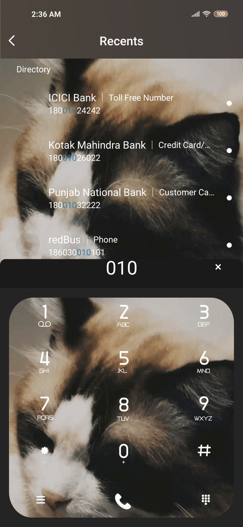 Puss screenshot