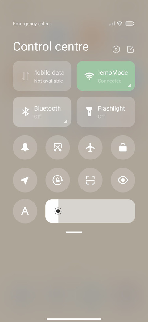 Brown bear screenshot