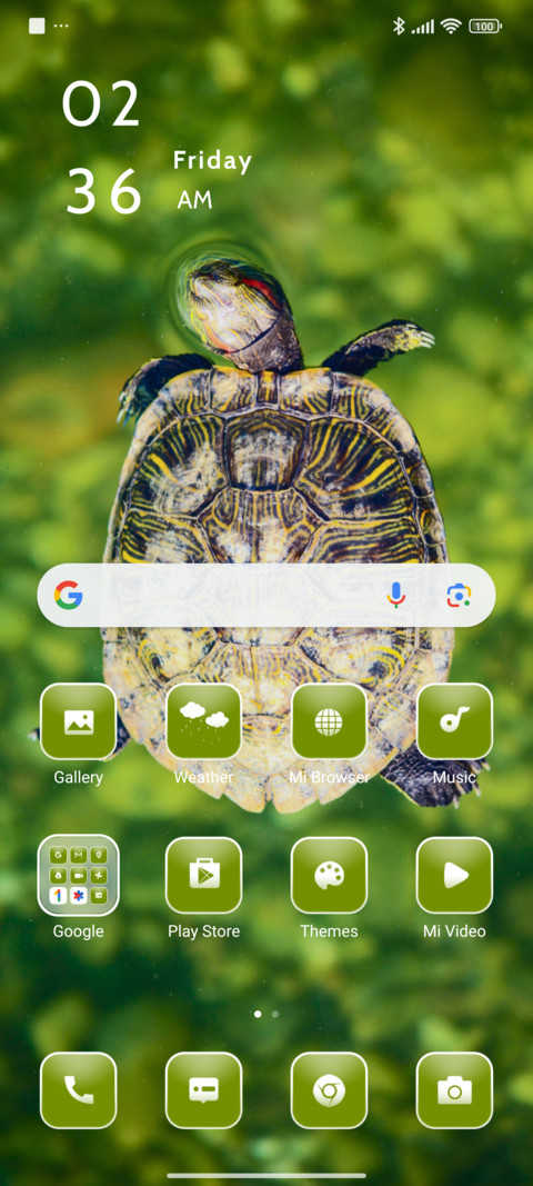 Brown Turtle screenshot